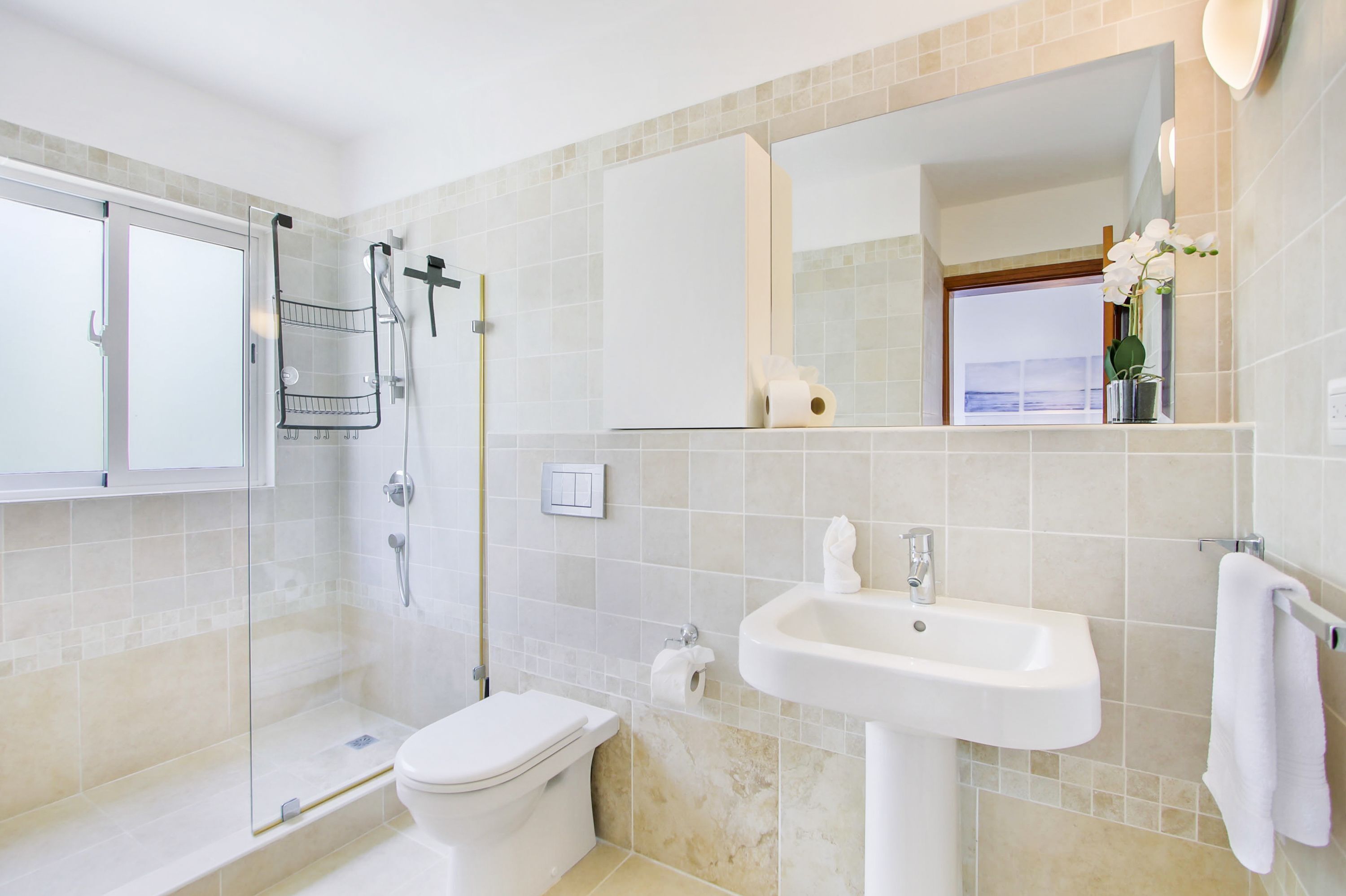 Une salle de bain moderne avec une douche à parois de verre, des toilettes blanches, un lavabo et un miroir au-dessus du lavabo.