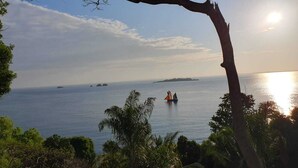 A coastal view with a tree in the foreground, a calm sea, and a distant island.