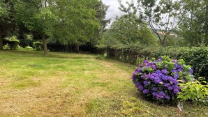 Um jardim com gramado, um grande arbusto de flores roxas e diversas árvores.