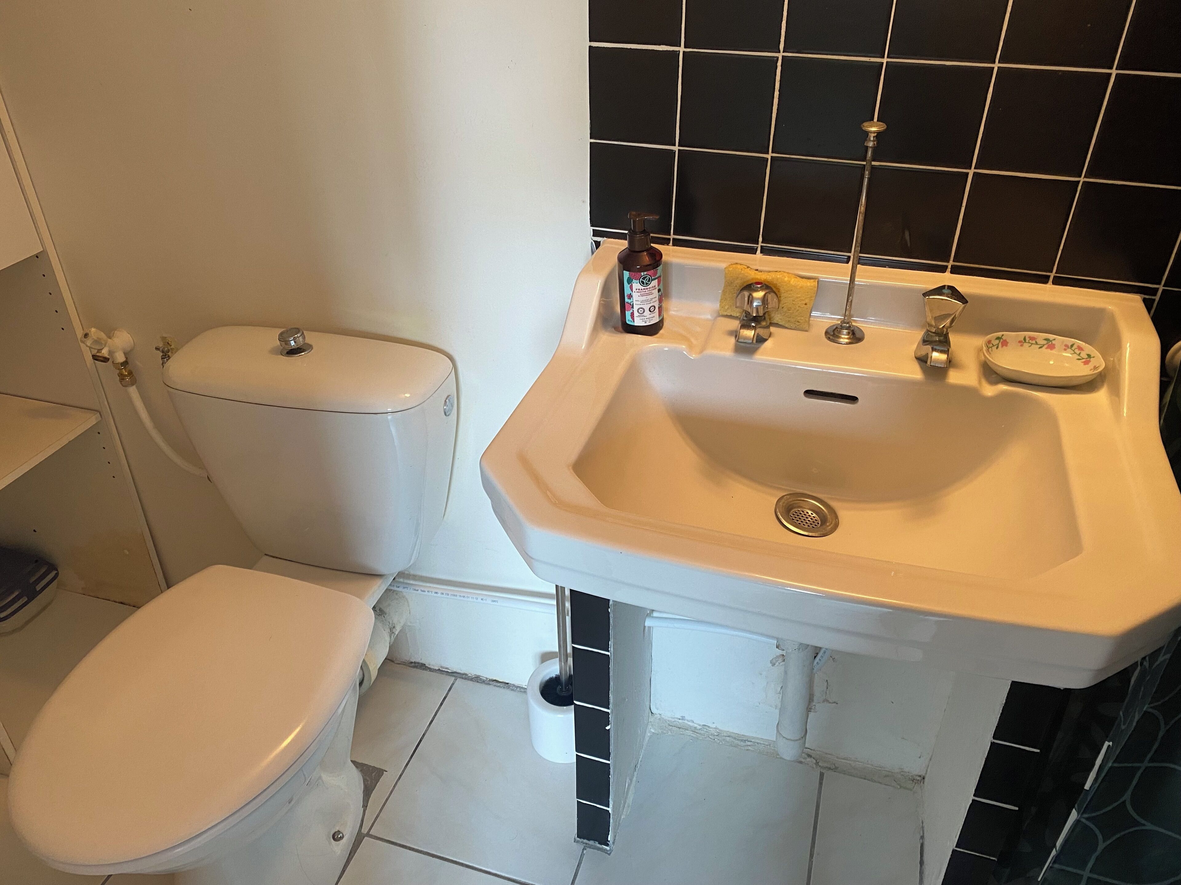 Une salle de bain équipée de toilettes, d’un lavabo et d’un flacon de savon liquide posé sur le lavabo.