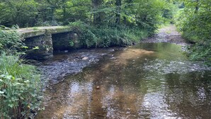 Uma ponte de pedra sobre um riacho límpido em uma floresta verde e exuberante.