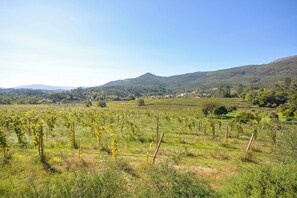 Villa (6 Bedrooms) | Exterior - Villa Formoso (Ponte de Lima)