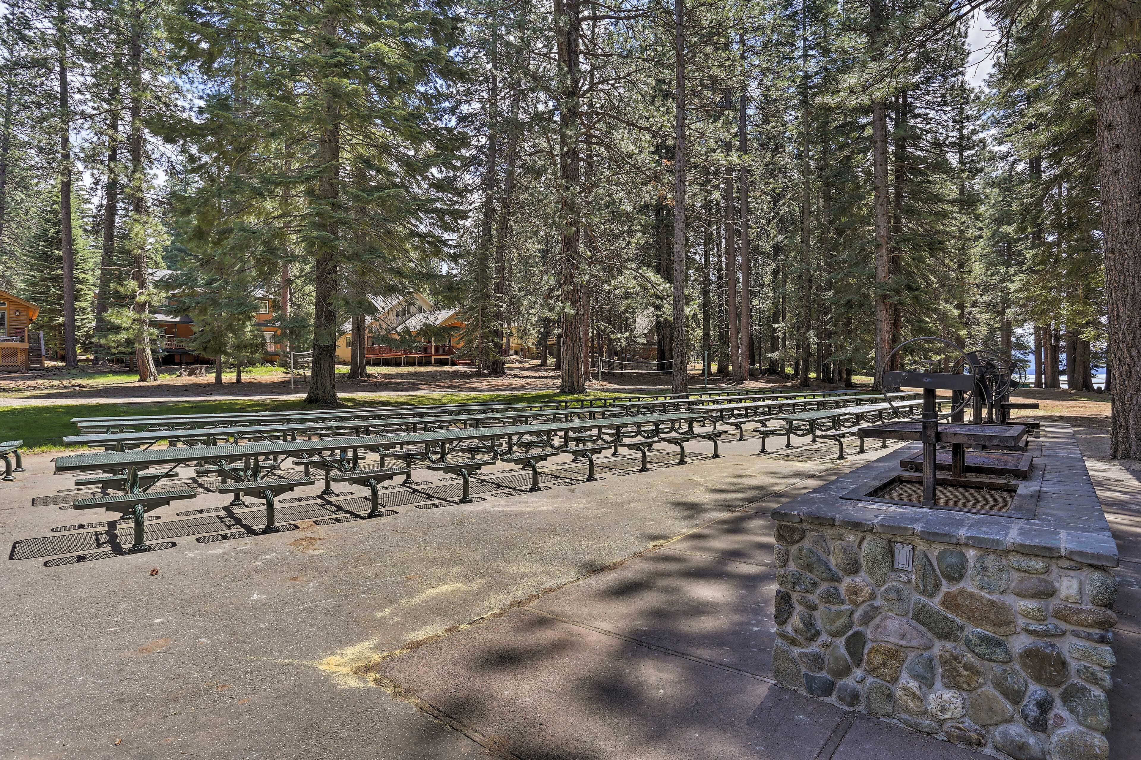A picnic area with multiple benches and a stone structure, surrounded by tall trees.