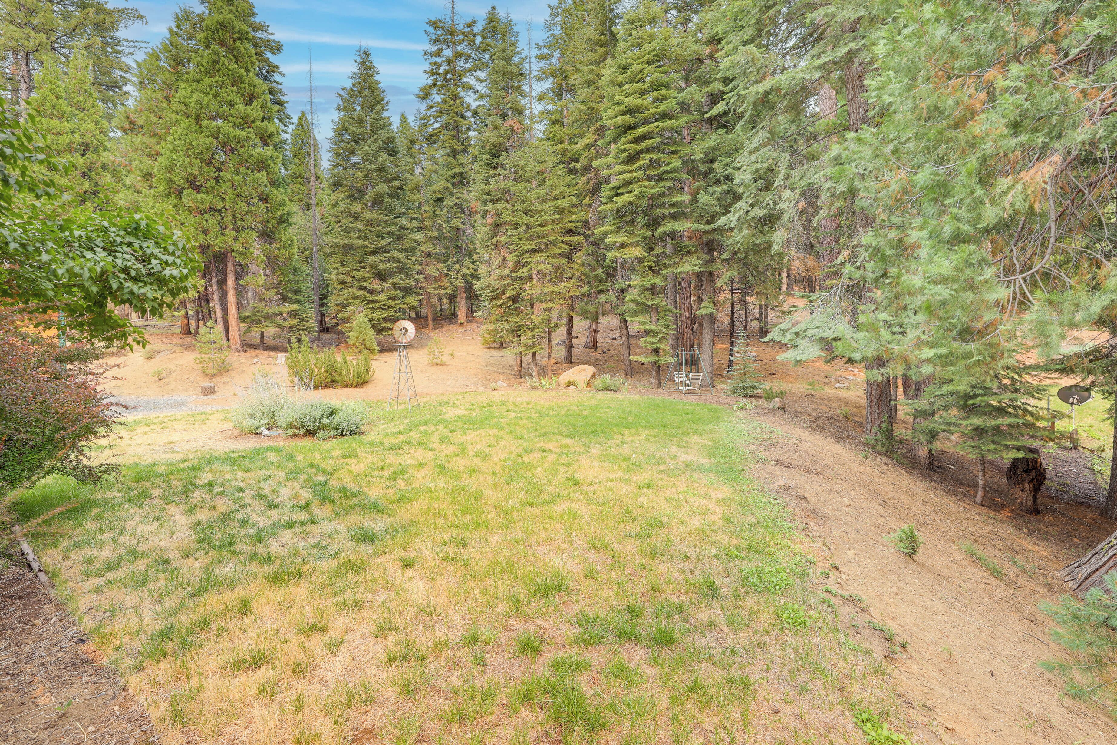 A forested area with a dirt path, a small clearing, and a telescope.