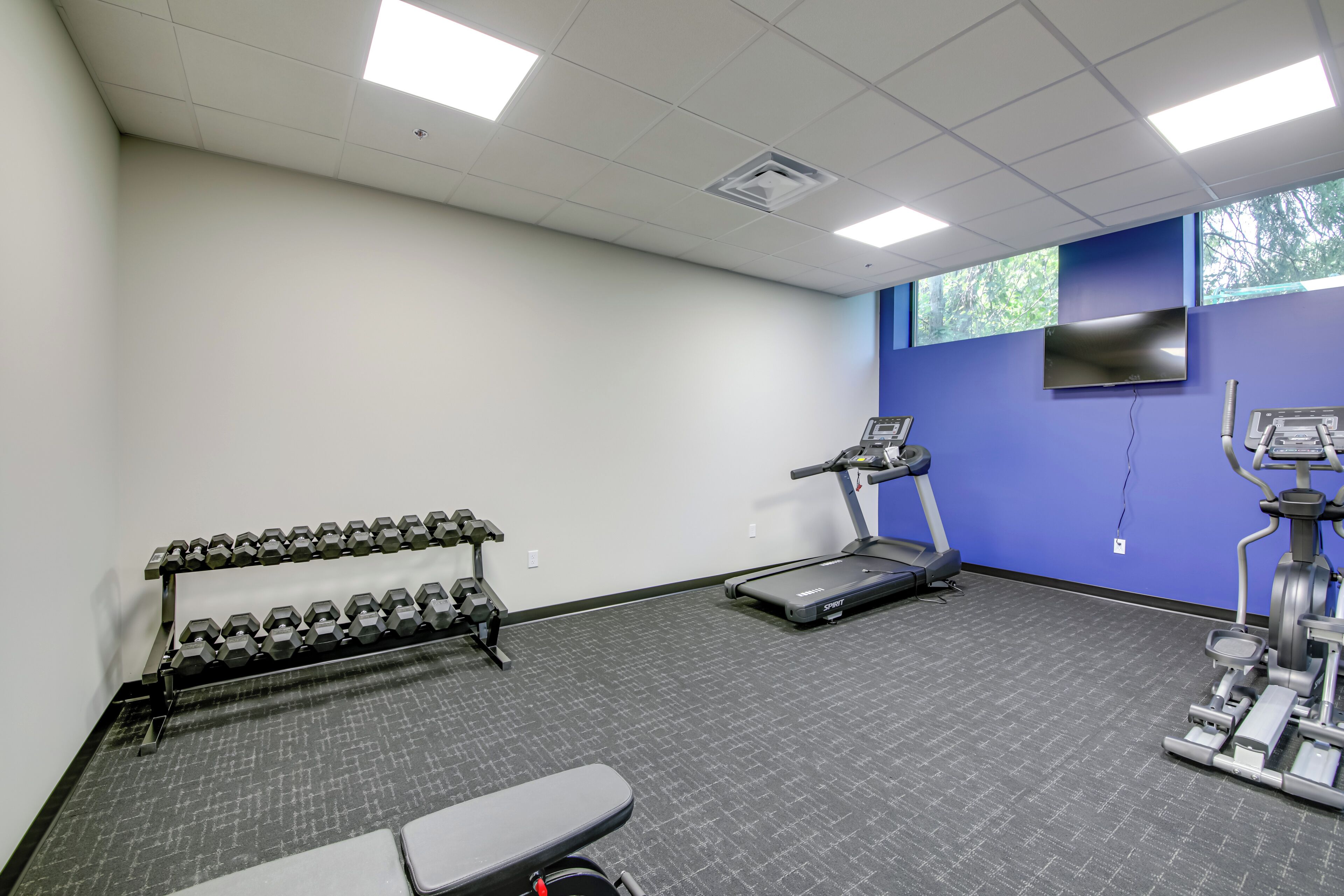A gym with a treadmill, elliptical, dumbbells, and a bench.