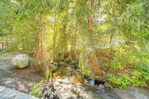 A forested area with a small stream, rocks, and dense vegetation. - Peaceful Entiat Home: Pets Welcome! (Entiat)
