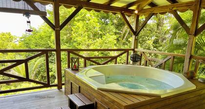 Villa California, 4 bedrooms, Caribbean sea view.