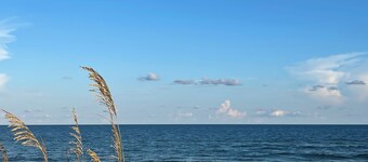 Sunflower 2, beachfront, pet friendly