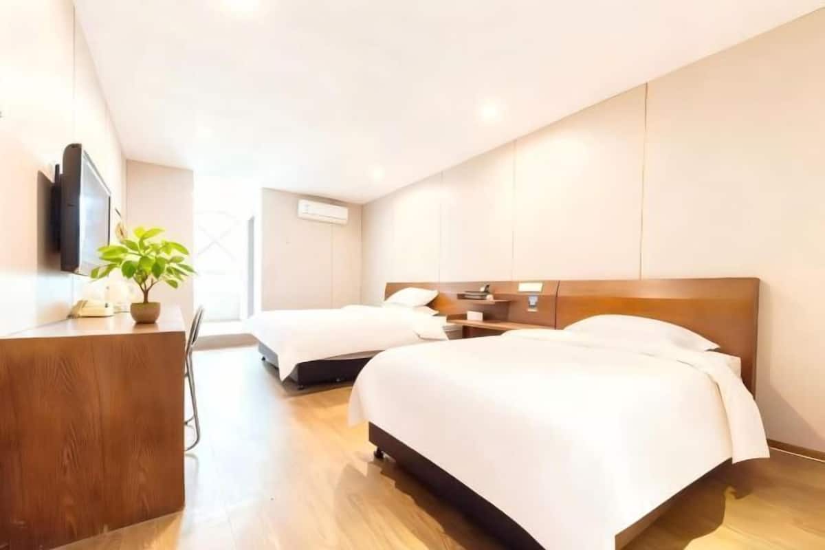A hotel room with two beds, a desk, a TV, and a plant.
