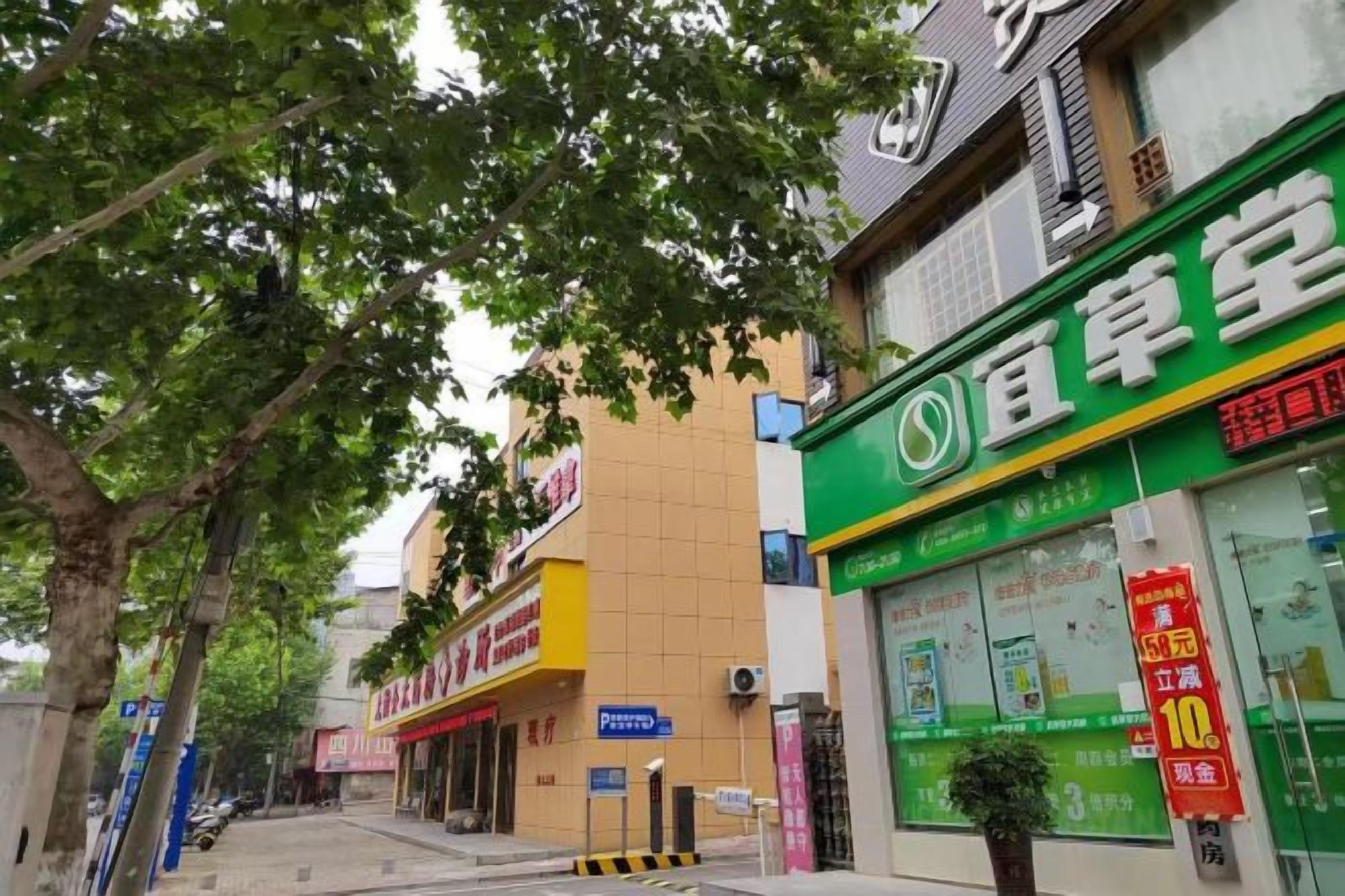 Une vue de rue avec une devanture de magasin verte, un bâtiment jaune et un trottoir bordé d’arbres.