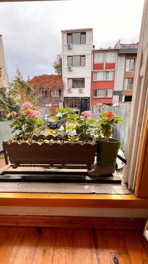 Vista desde la propiedad