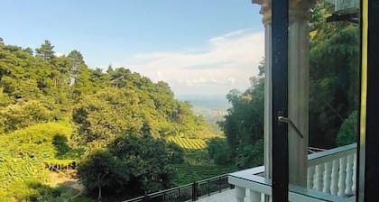 Hengyang Nanyueshan Xiangyuan Manor