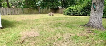 Adorable coastal home right downtown!