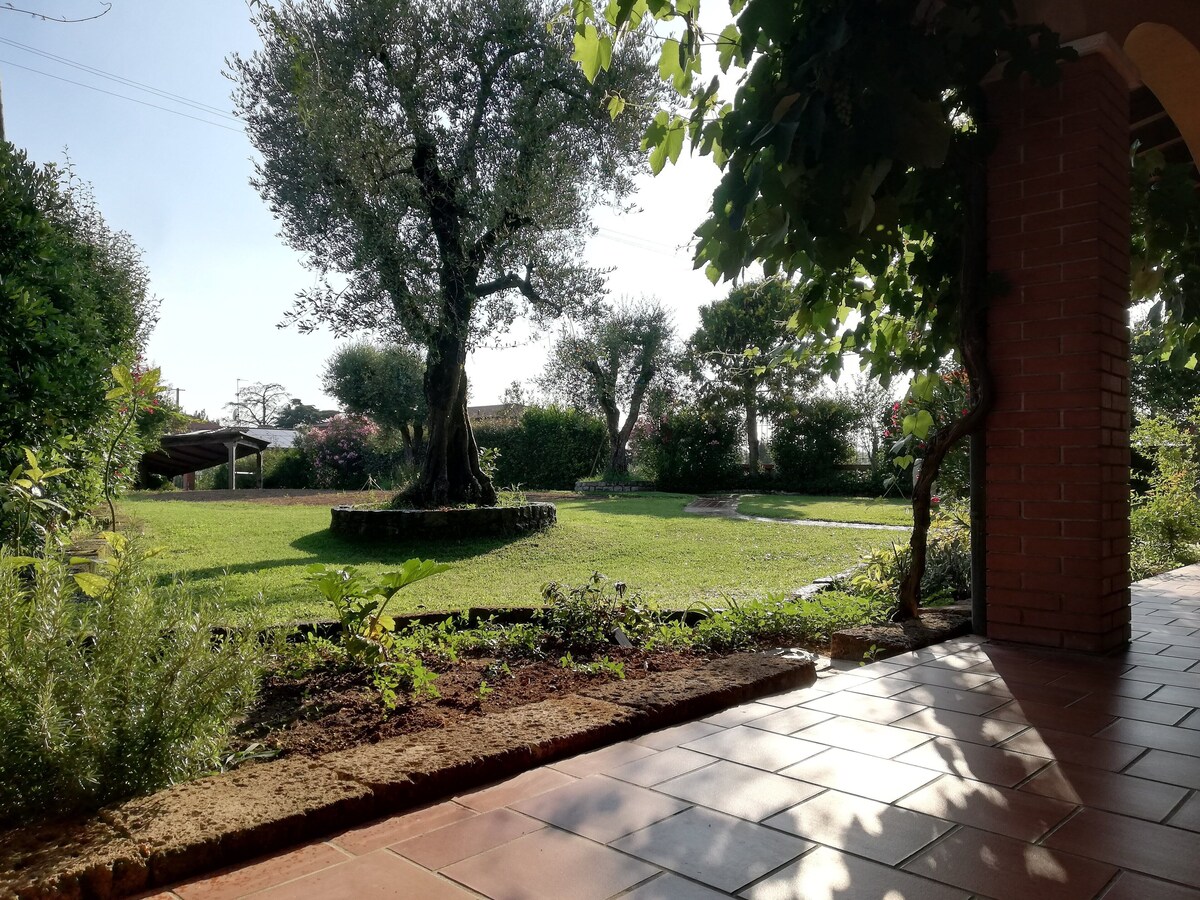 Bild für Gastgeberprofil