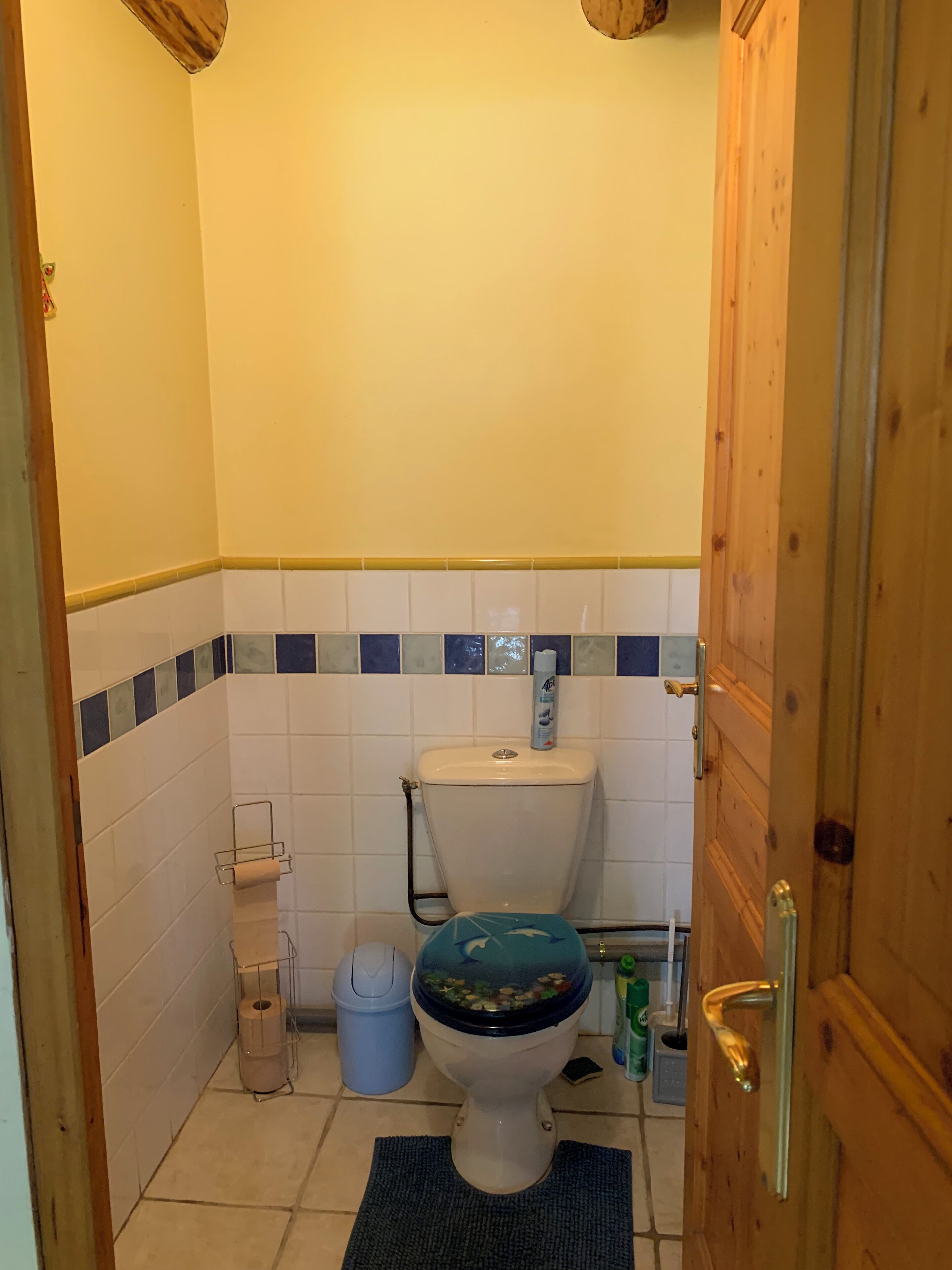 A small bathroom with a toilet, a trash bin, and a blue mat on the floor.