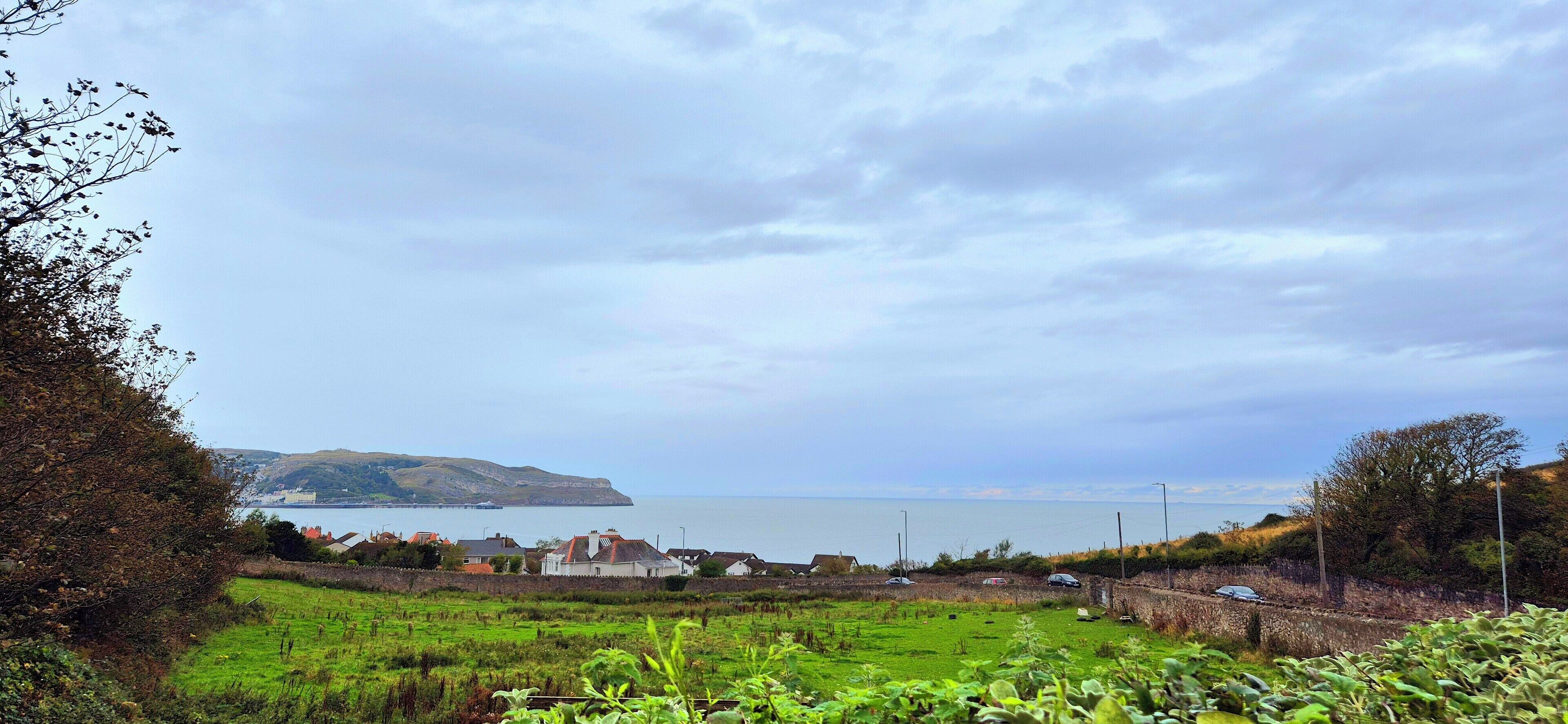 Photo - Craigside Manor