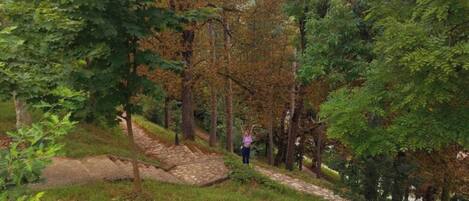 Enceinte de l’hébergement