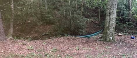Un hamac installé dans une zone boisée, parmi les arbres et la végétation basse.