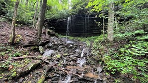 Un área boscosa con cascada y terreno rocoso.