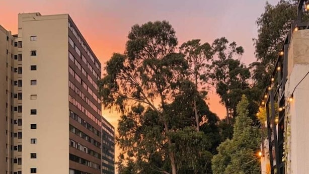 A person standing on a rooftop terrace with a view of a cityscape and trees. - Las Aguas Inner Experience (Bogotá)