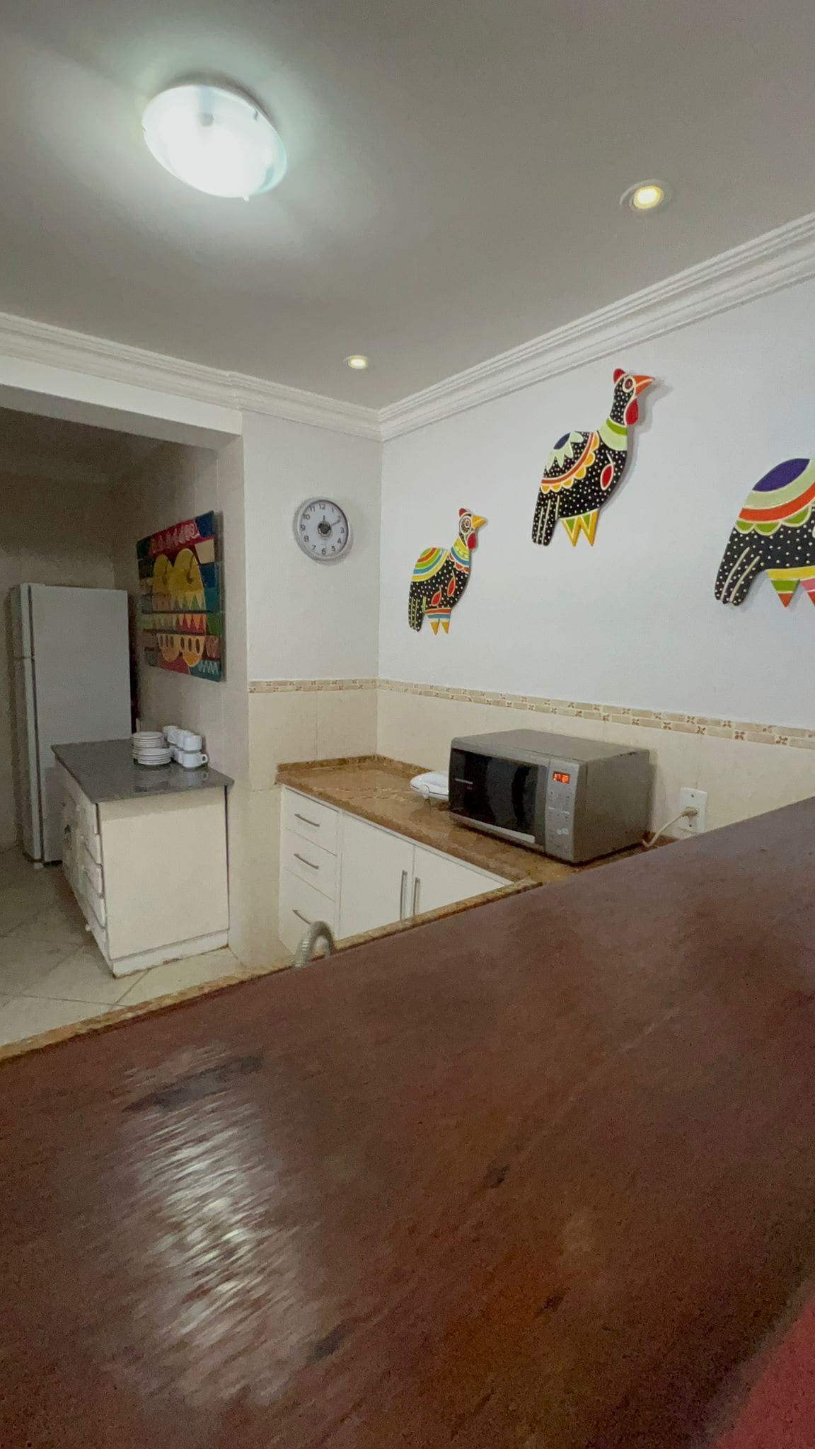 Foto - Casa das Tartarugas