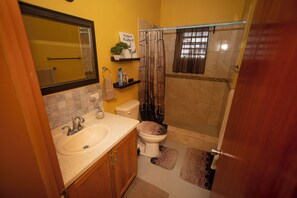 Hair dryer, towels, soap, shampoo - Modern Comfort: Private 1BR In Basseterre (Basseterre)