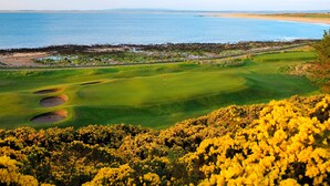 A golf course with bunkers, a flag, and a view of the ocean. - Ash Mill - Dornoch (Dornoch)