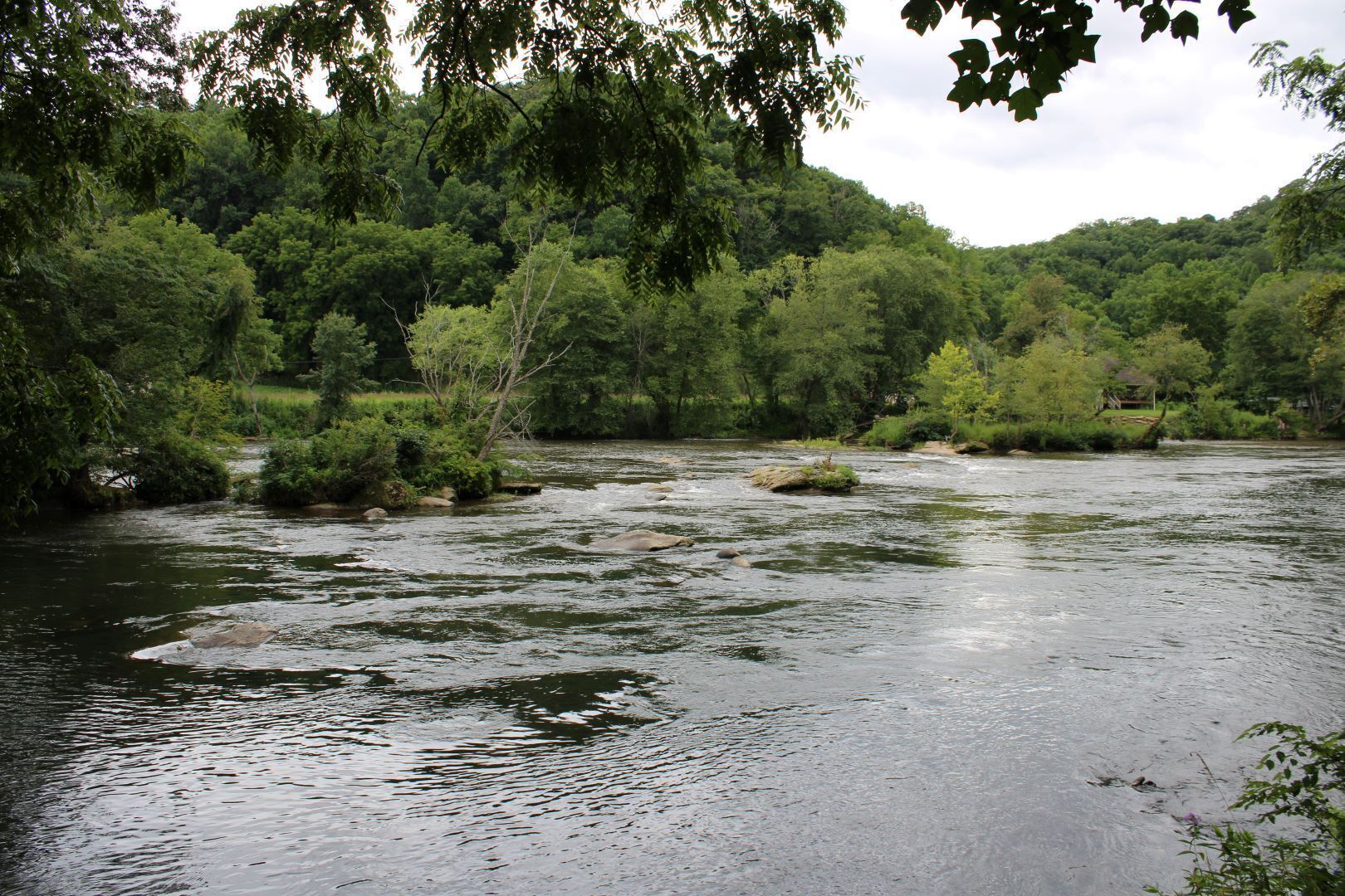A river flowing through a densely wooded area with trees and rocks in the water.