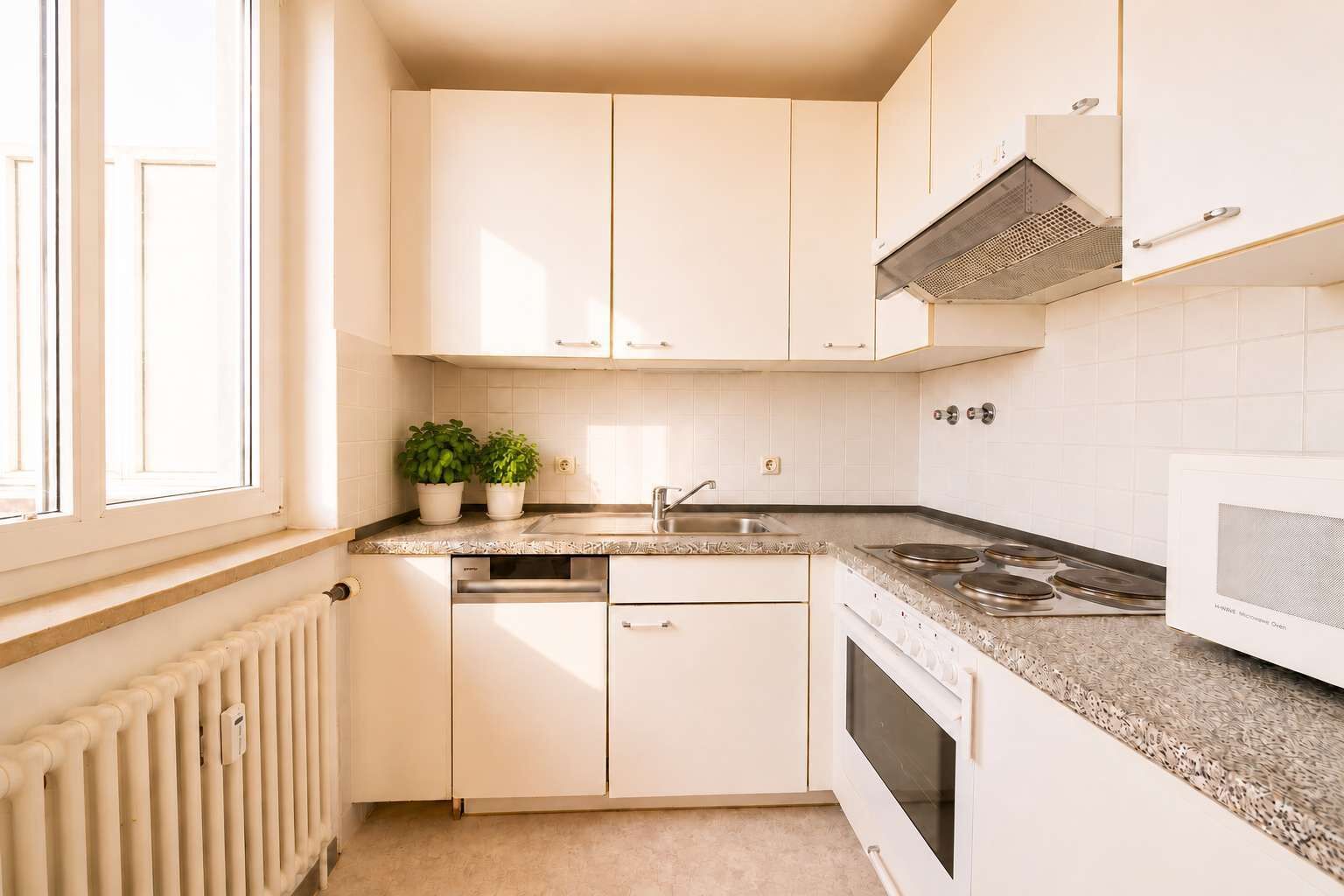 Kühlschrank, Mikrowelle, Ofen, Herdplatte