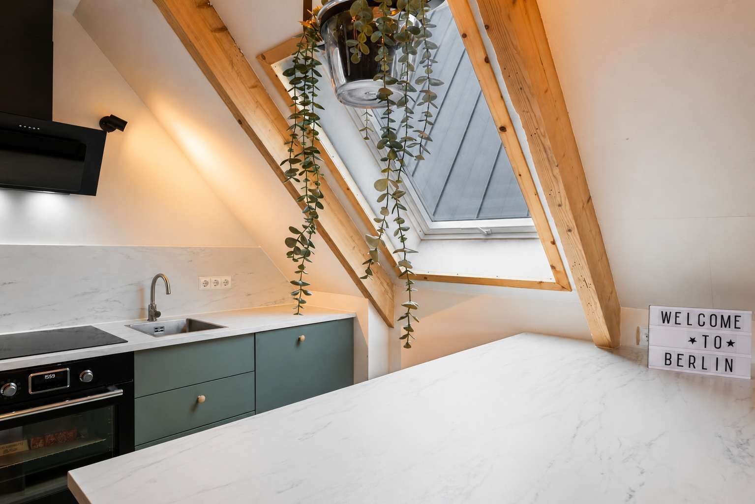 Fridge, oven, stovetop, dishwasher