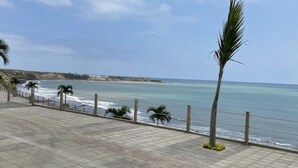 A coastal walkway with a view of the sea, palm trees, and a stone-paved path.