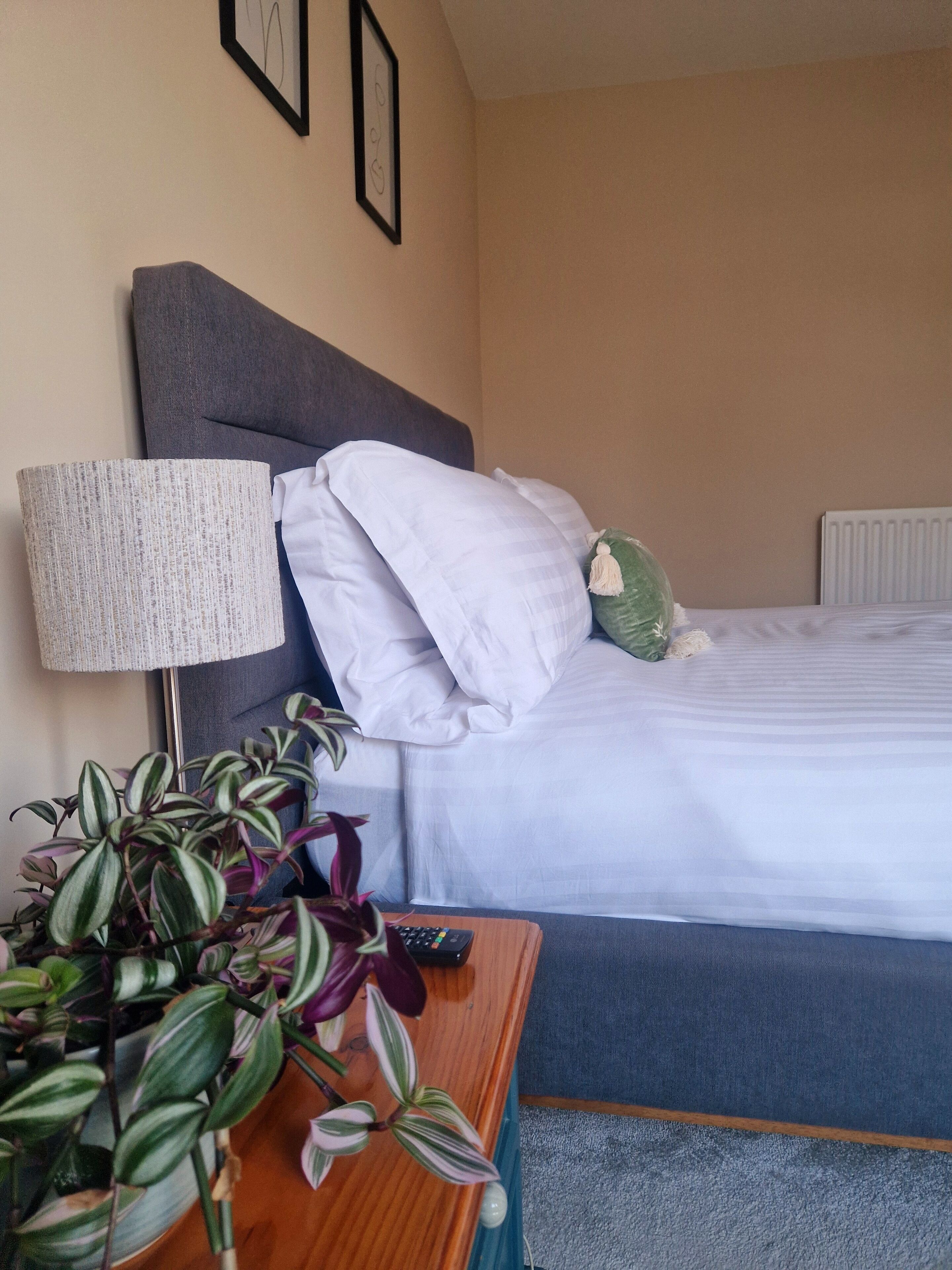 Een hotelkamer met een bed, een lamp, een plant en een afstandsbediening op een houten nachtkastje.