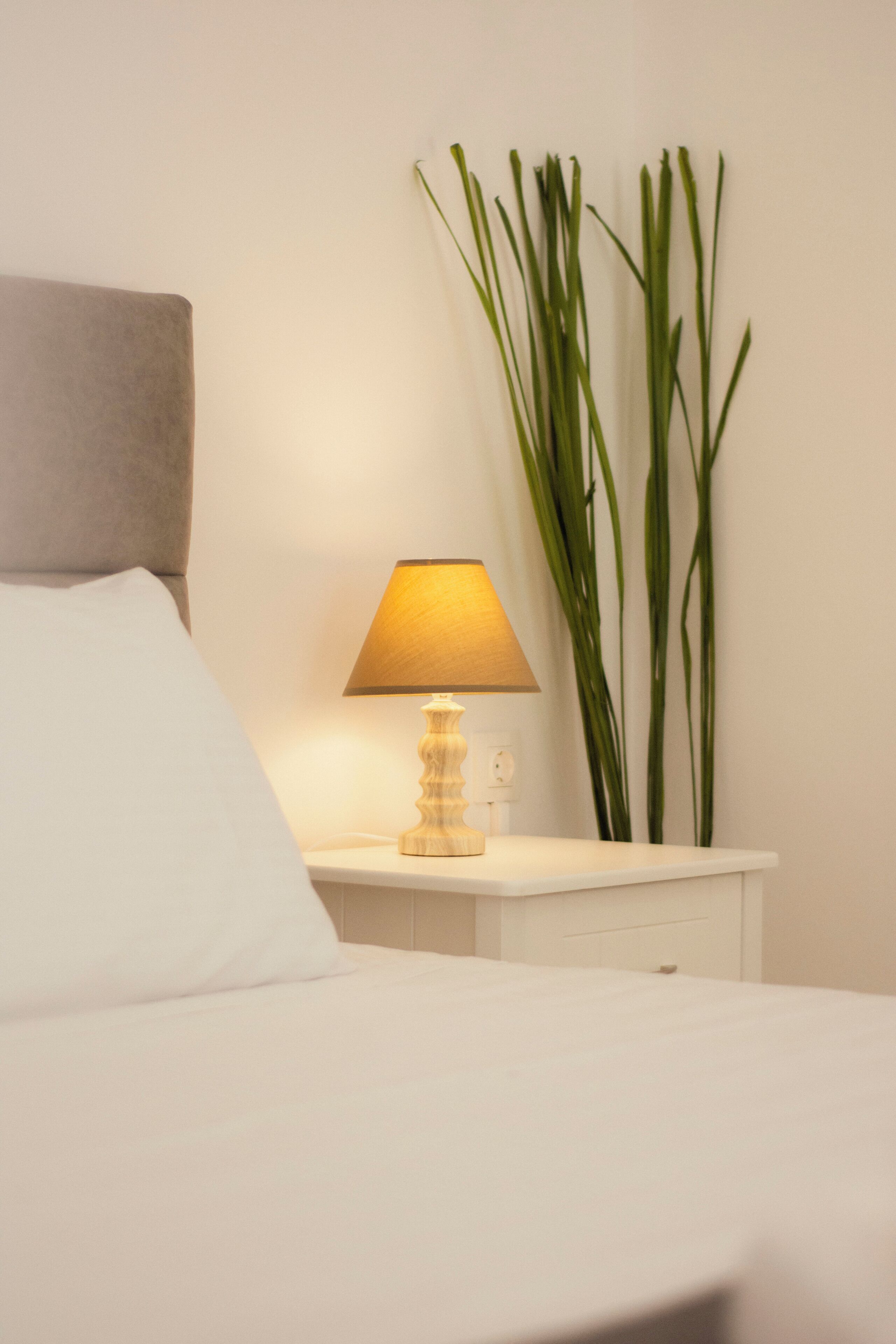 A neatly made bed with a white pillow and a bedside table with a lamp and a tall green plant beside it.