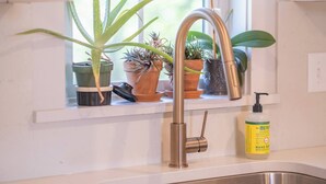 A kitchen sink with a modern faucet, potted plants on the windowsill, and a bottle of hand soap. - Montrose Manor- In the heart of Belmont! (Charlottesville)