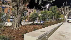 Ein nächtlicher Stadtblick mit Bäumen, einem Betonweg und Gebäuden im Hintergrund.