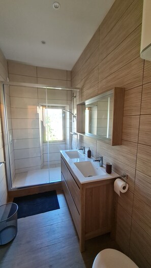 Chuveiro, secador de cabelo, toalhas de banho 