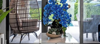 Luxury Miami Stay · Heated Pool · Game Fun · Private Yard