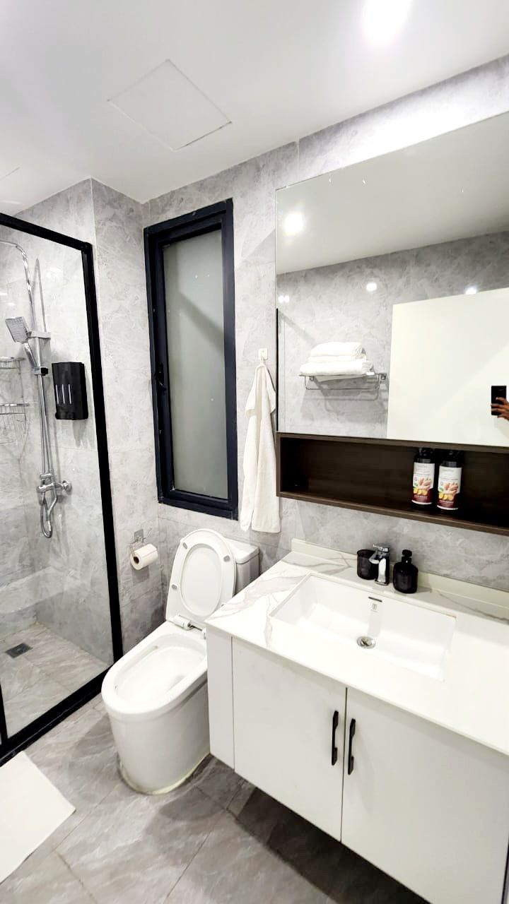 A modern bathroom with a glass shower enclosure, a toilet, a sink, and a mirror.