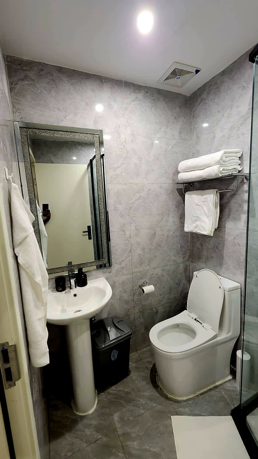 Une salle de bain moderne équipée d’un lavabo, d’un miroir, de toilettes et d’une douche à parois en verre.