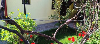 Tranquil building with WiF and parking, in Cisnădie, near Dracula's Castle.