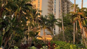 A high-rise hotel with multiple balconies, surrounded by lush tropical vegetation and palm trees.
