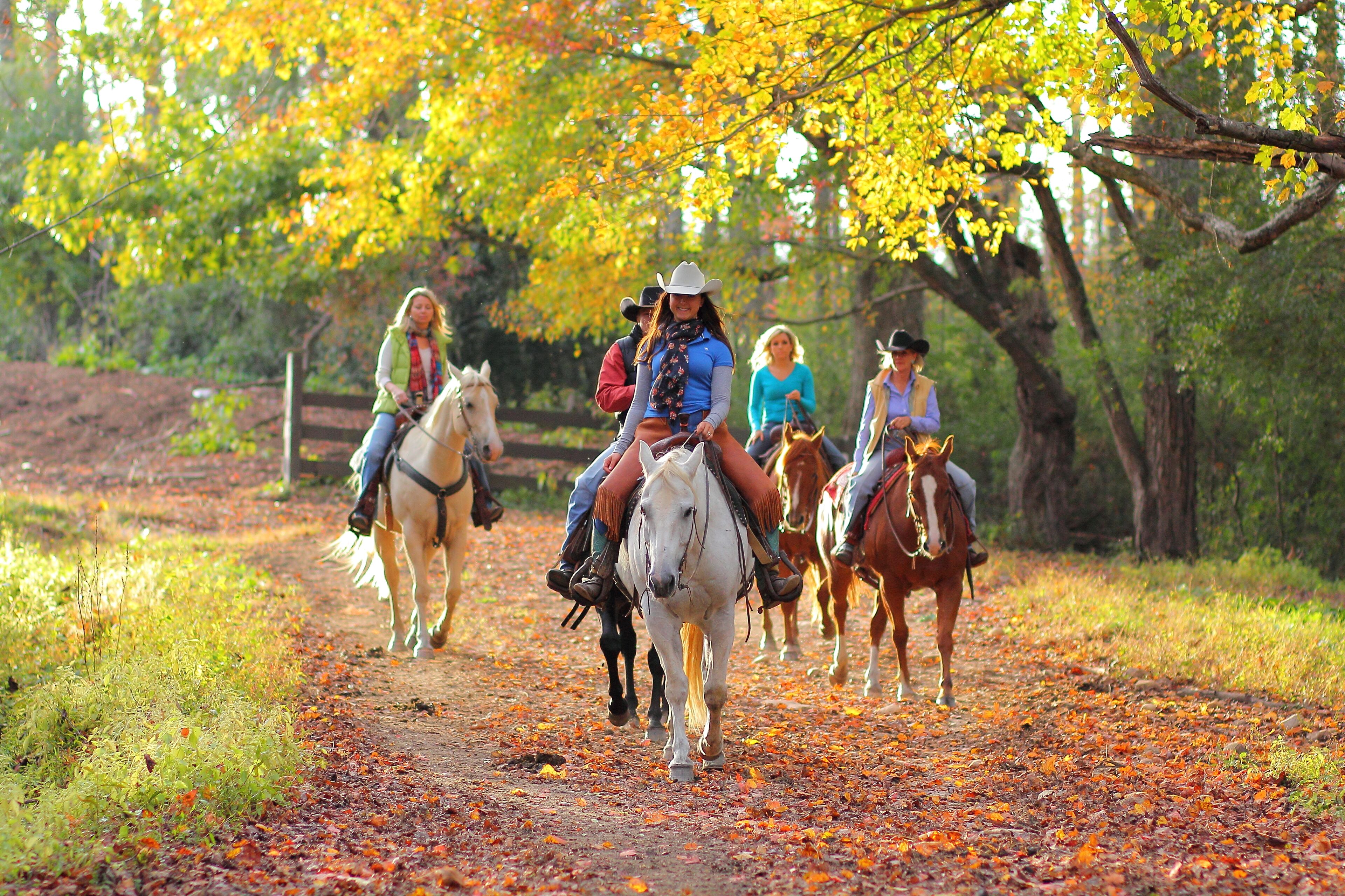 A group of people riding horses on a leaf-covered path in a wooded area.