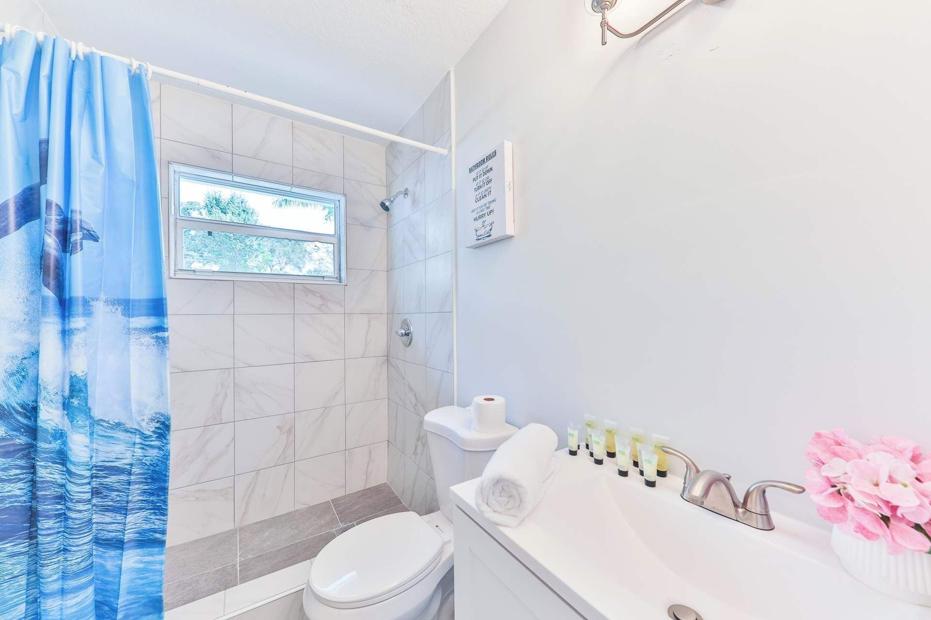 Shower, hair dryer, towels