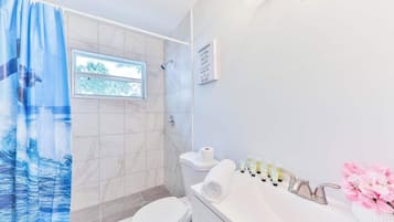 Shower, hair dryer, towels