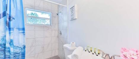 Shower, hair dryer, towels