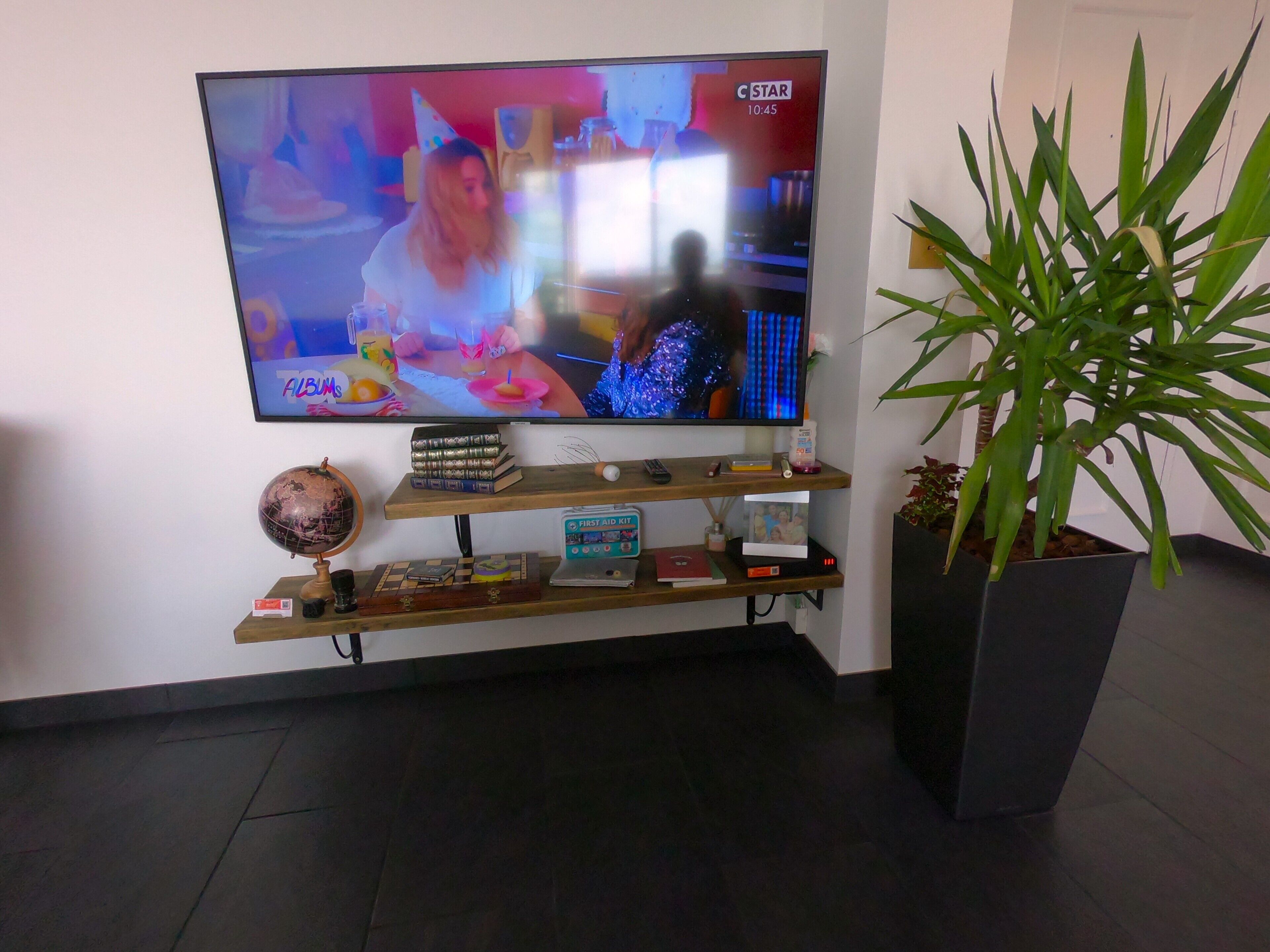 Un televisor montado en la pared mostrando un programa. Debajo del televisor, hay estantes con varios objetos, incluyendo libros, un globo terráqueo y un botiquín de primeros auxilios.