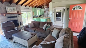 Smart TV, fireplace, books