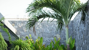 A modern outdoor garden with a stone wall, a palm tree, and various tropical plants.