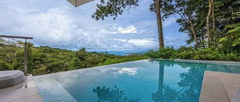 An infinity pool with a clear view of the ocean and lush greenery.