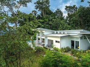 Una casa moderna con piscina, rodeada de exuberante vegetación.